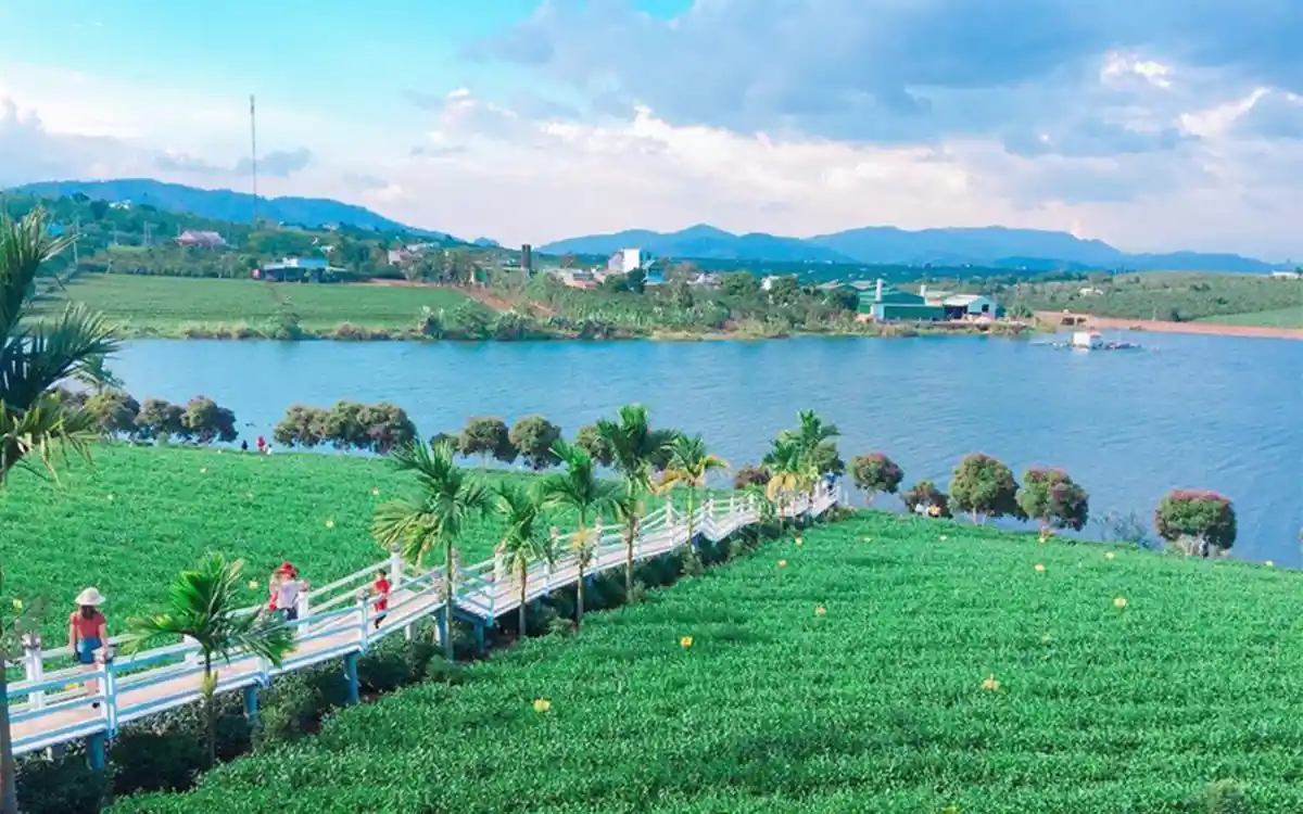 Tour Tây Nguyên: Tà Đùng - Đà Lạt