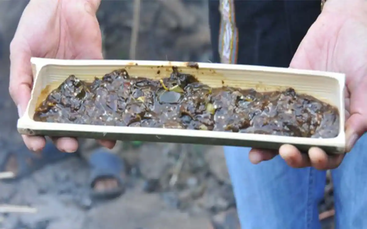 Canh thụt đọt mây