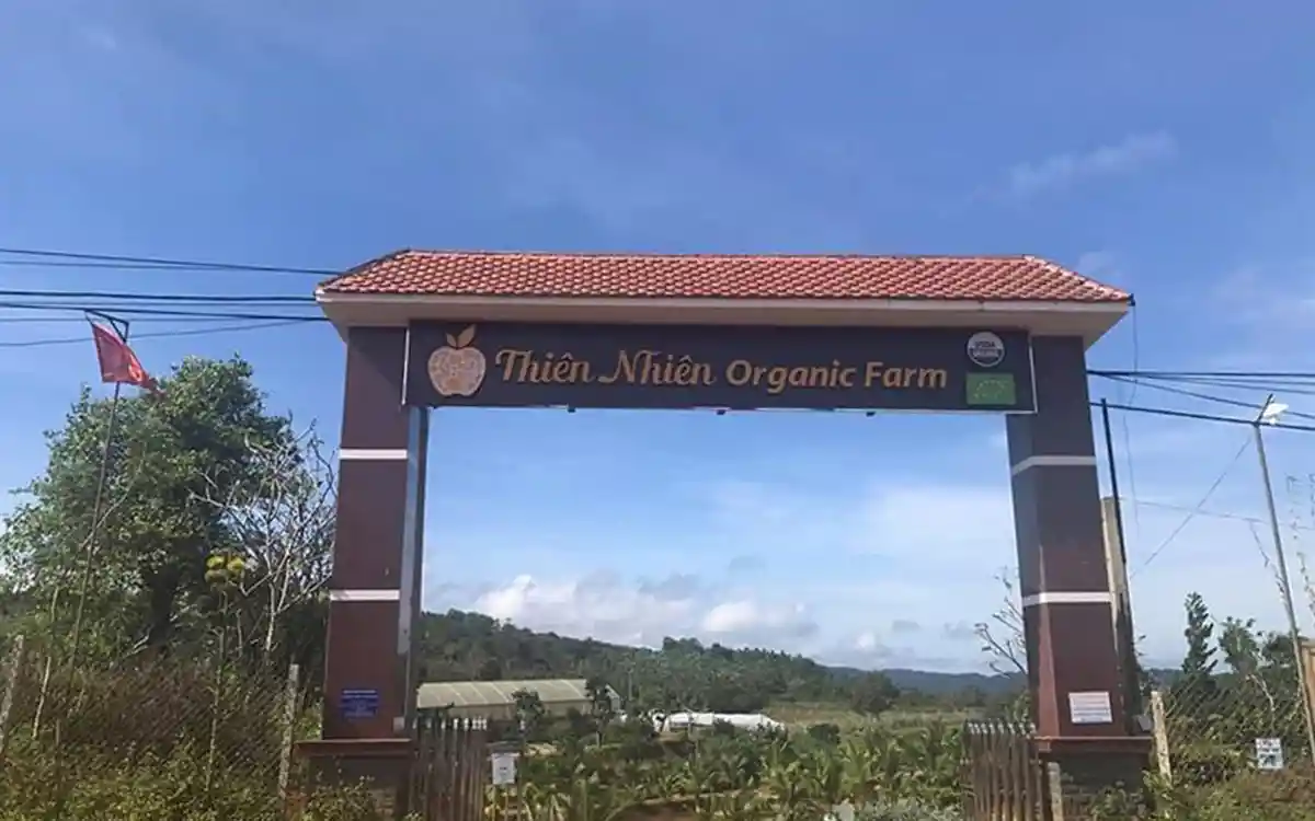 Trang Trại Thiên Nhiên Và Du Lịch Sinh Thái Yến Ngọc