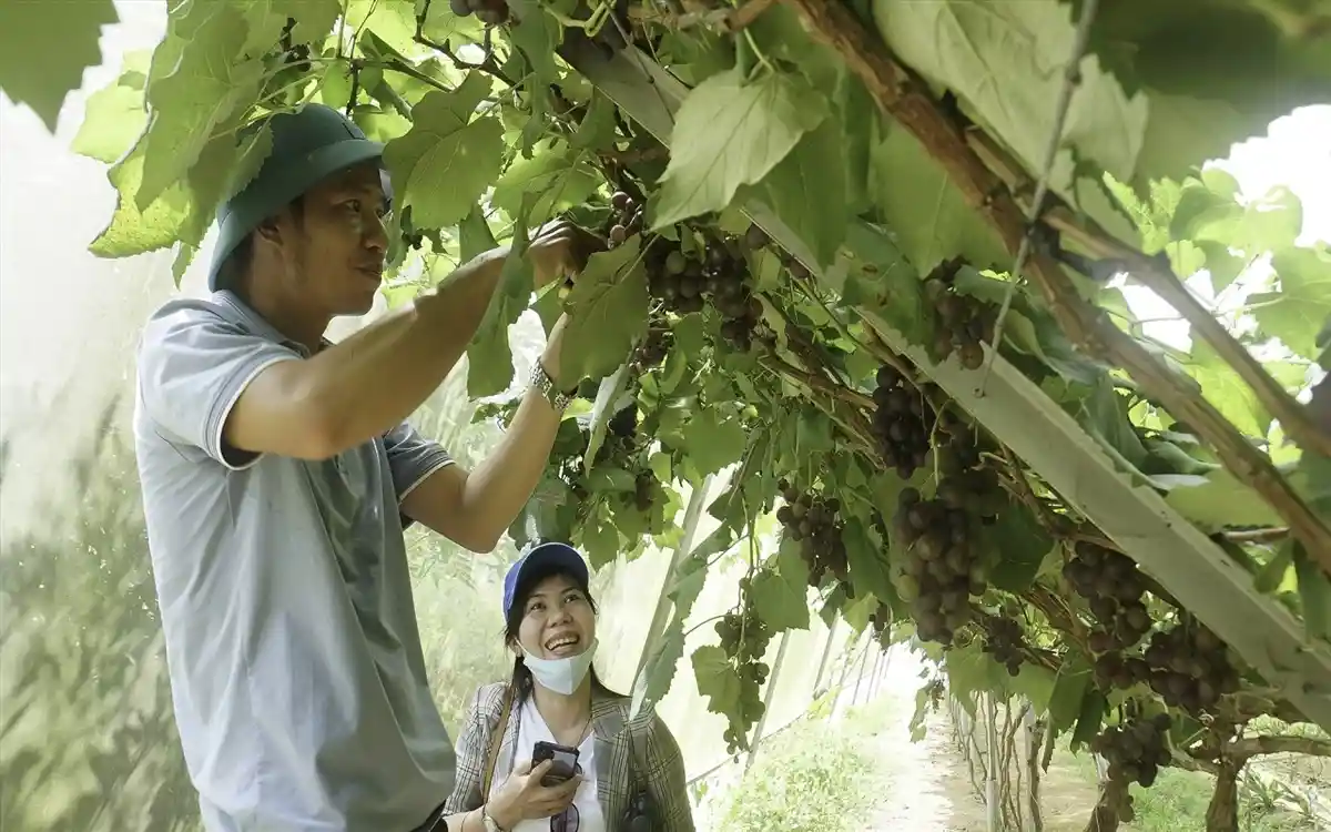 Đắk Nông phát triển sản phẩm OCOP gắn với du lịch nông thôn