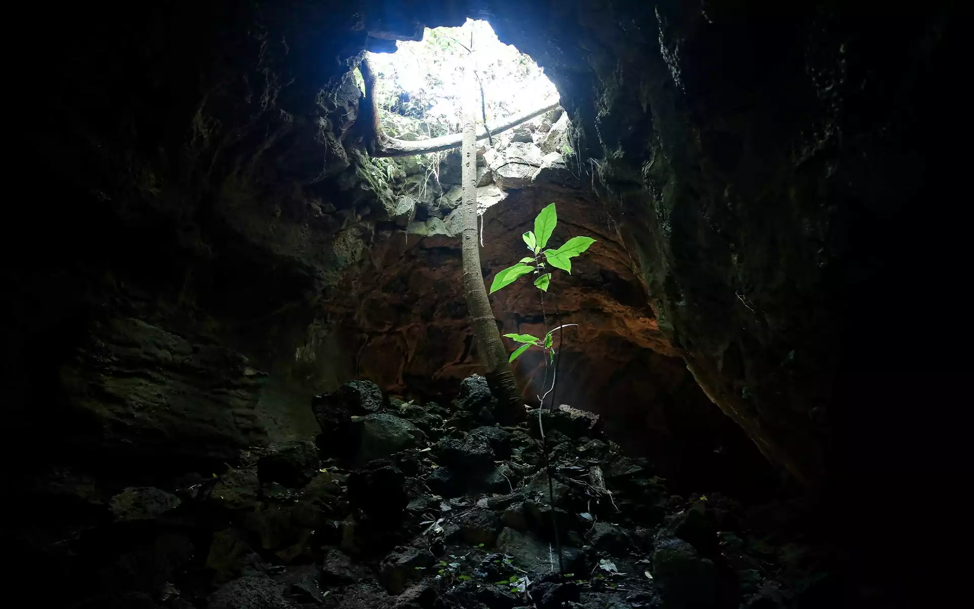 Vẻ đẹp bên trong hang động núi lửa dài nhất Đông Nam Á tại Đắk Nông