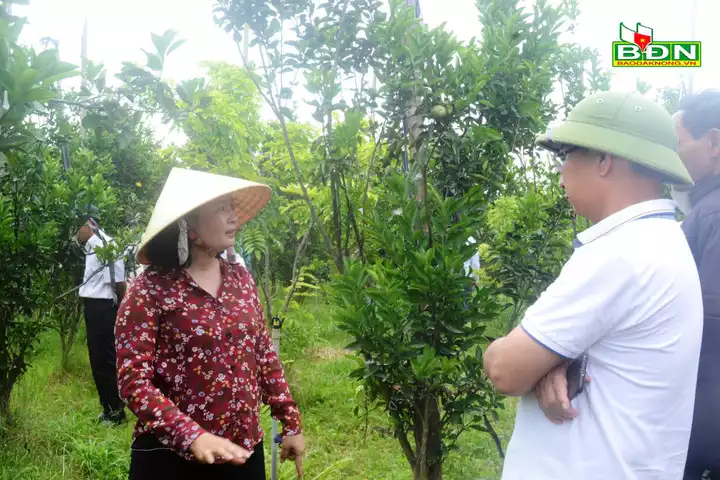 Xu hướng phát triển du lịch nông thôn ở Đắk Nông