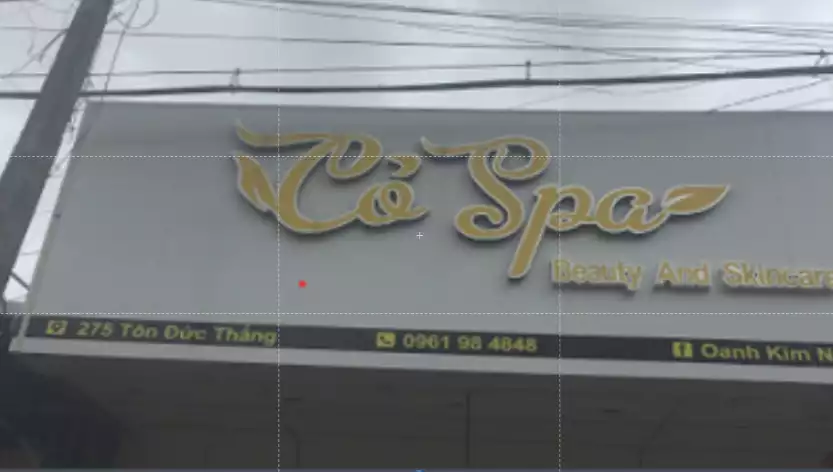 Cỏ spa