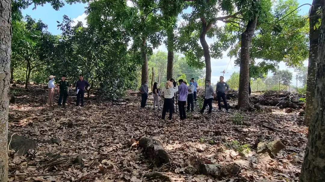 Sở chỉ huy cơ bản Chiến dịch Tây Nguyên