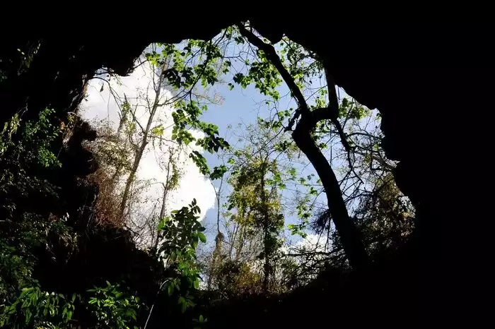 Hang núi lửa T1 (Hang dơi, Hang PT07-1)