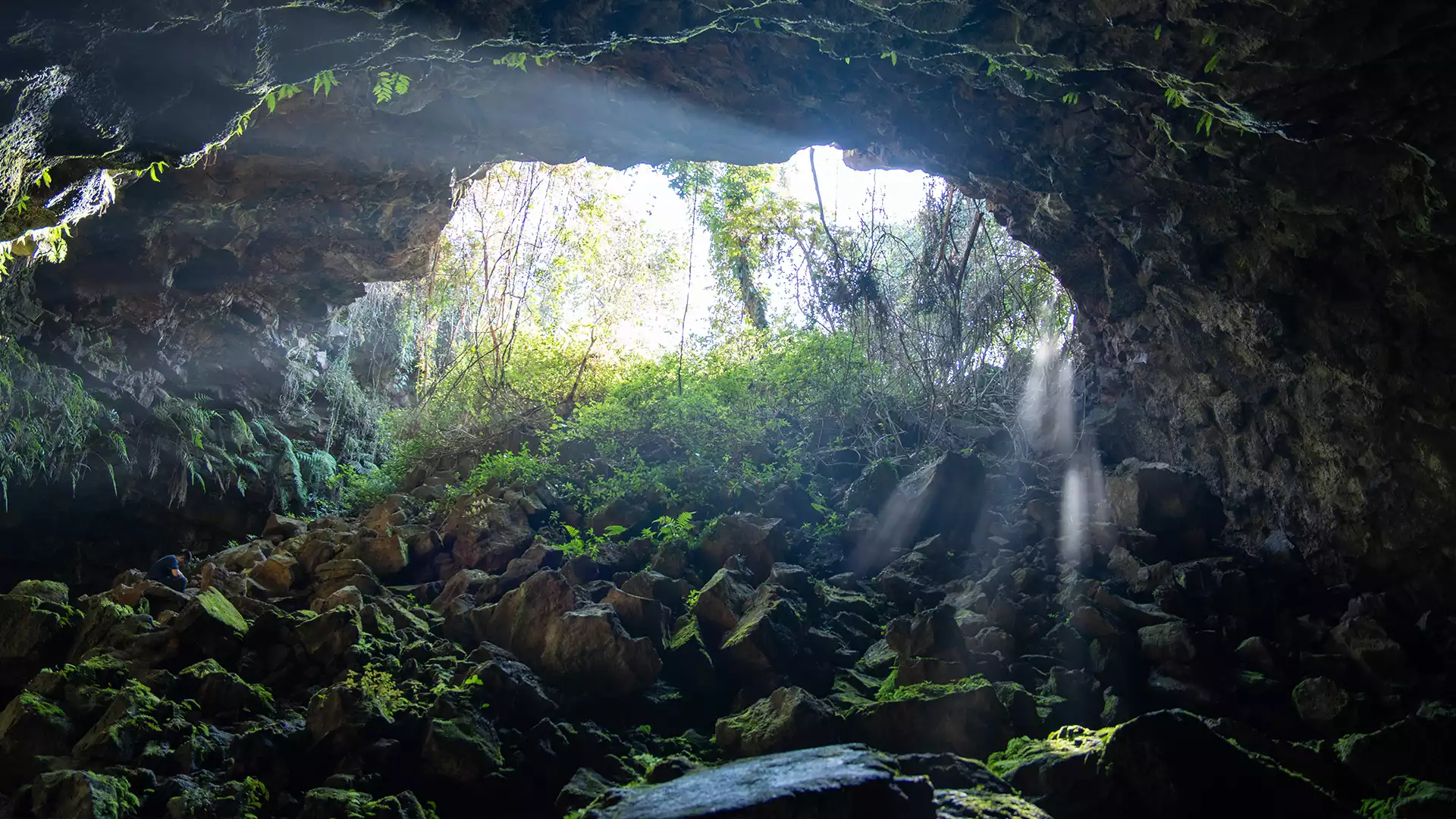 Hang núi lửa C9 (Hang Dơi)