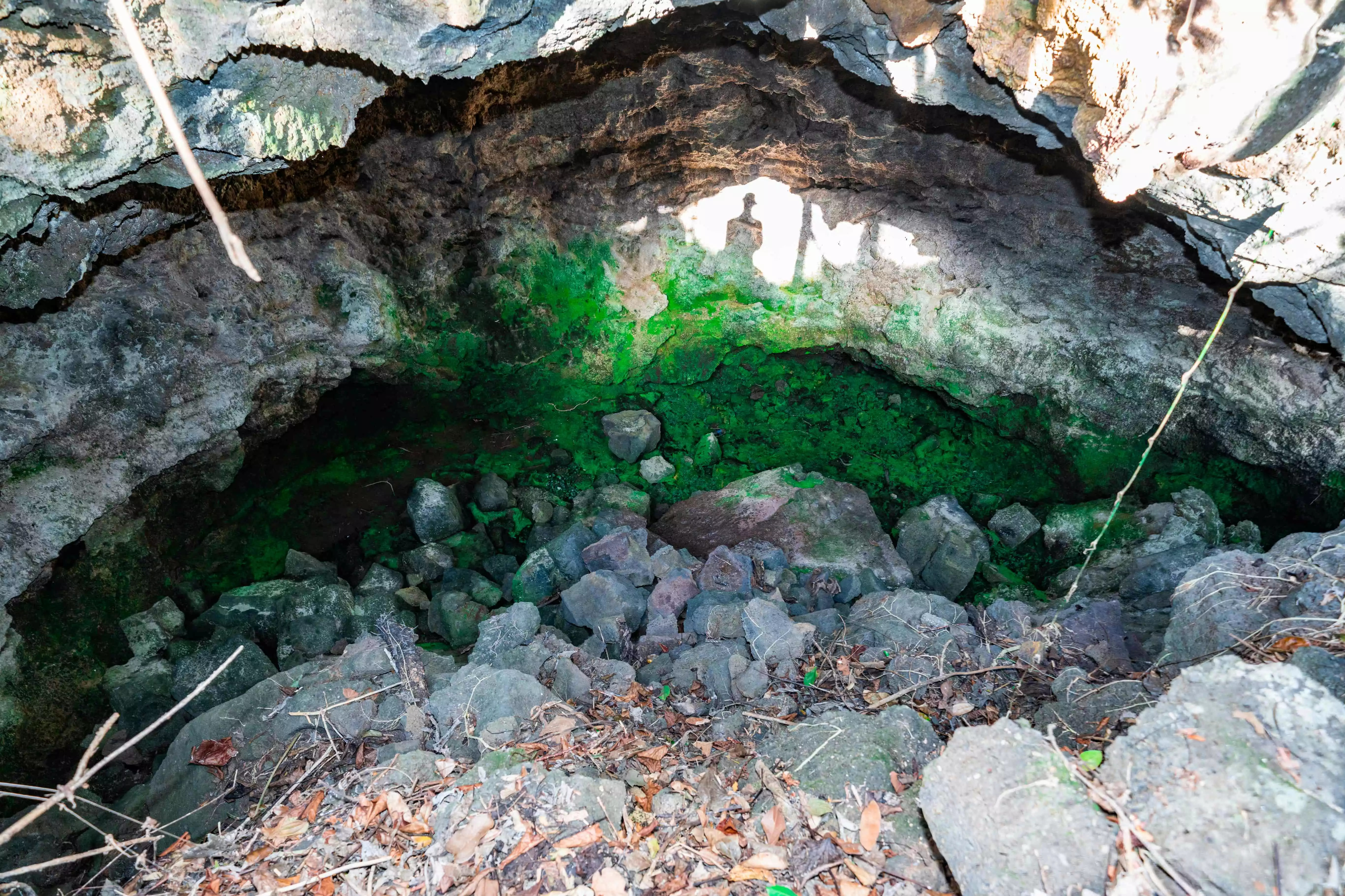 Hang núi lửa A1 (Hang Tổ Ong)