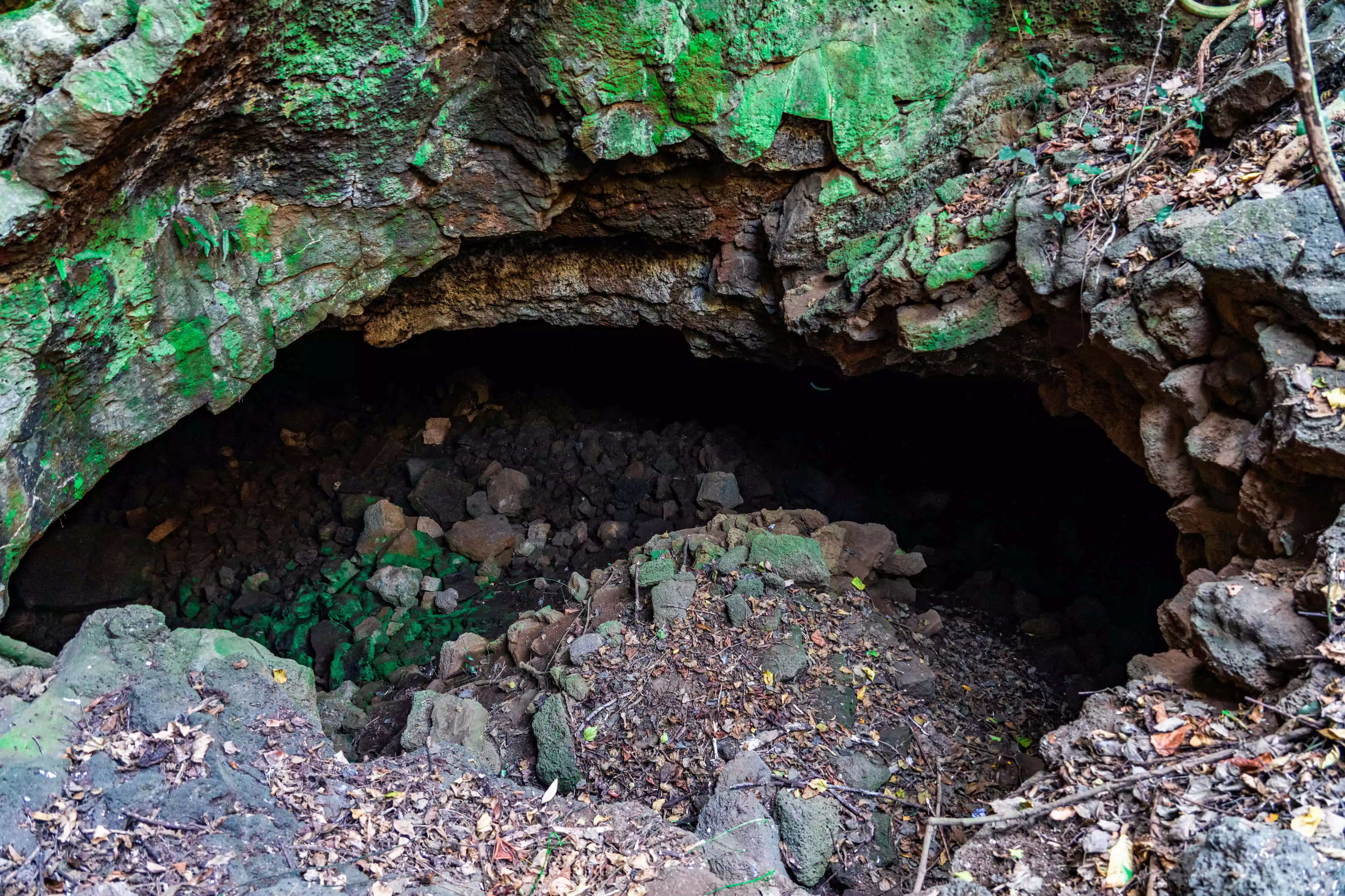 Hang núi lửa T1(Hang dơi, Hang PT07-1)