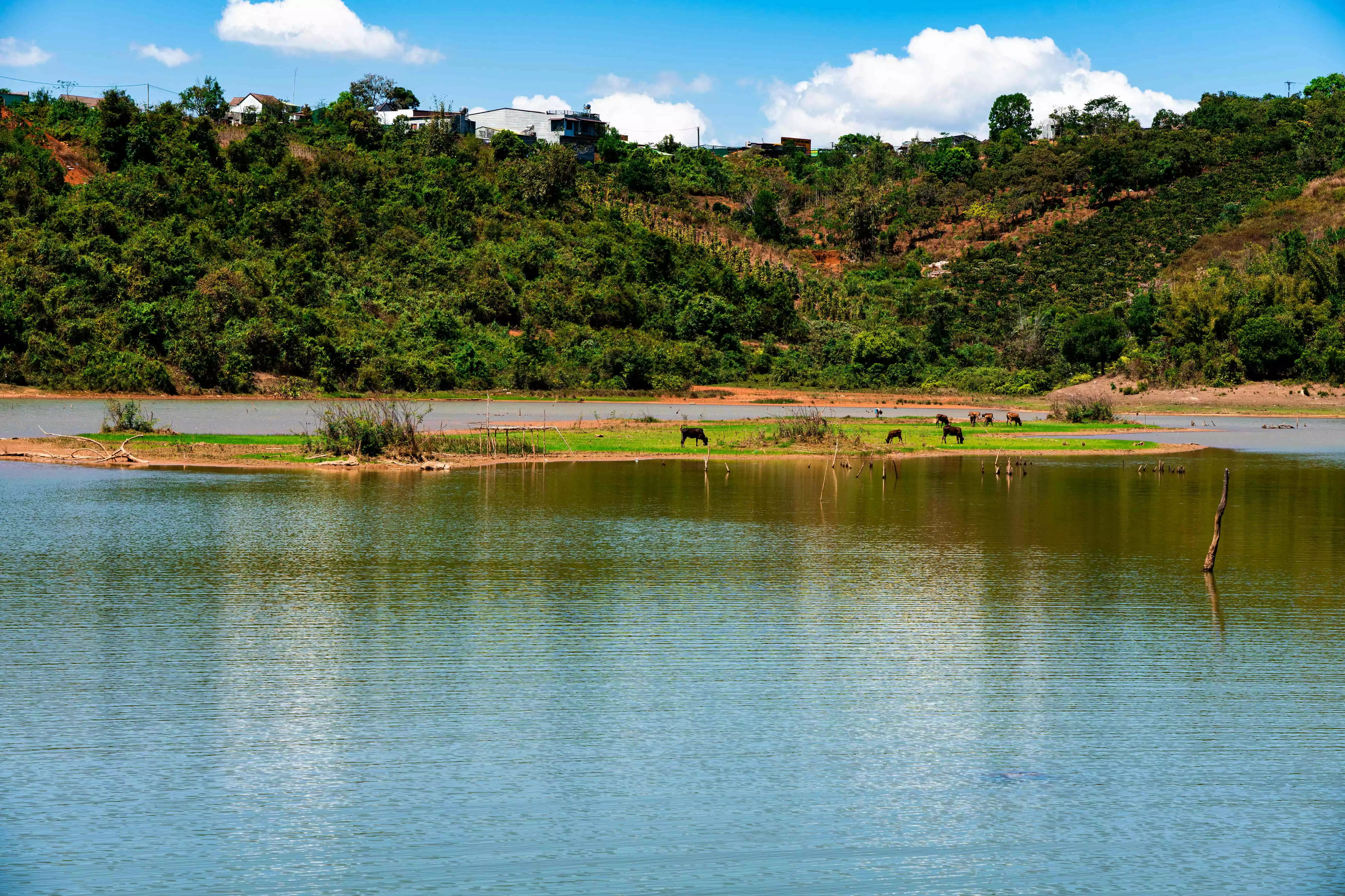 Bon Nj riêng (dân tộc Mạ)