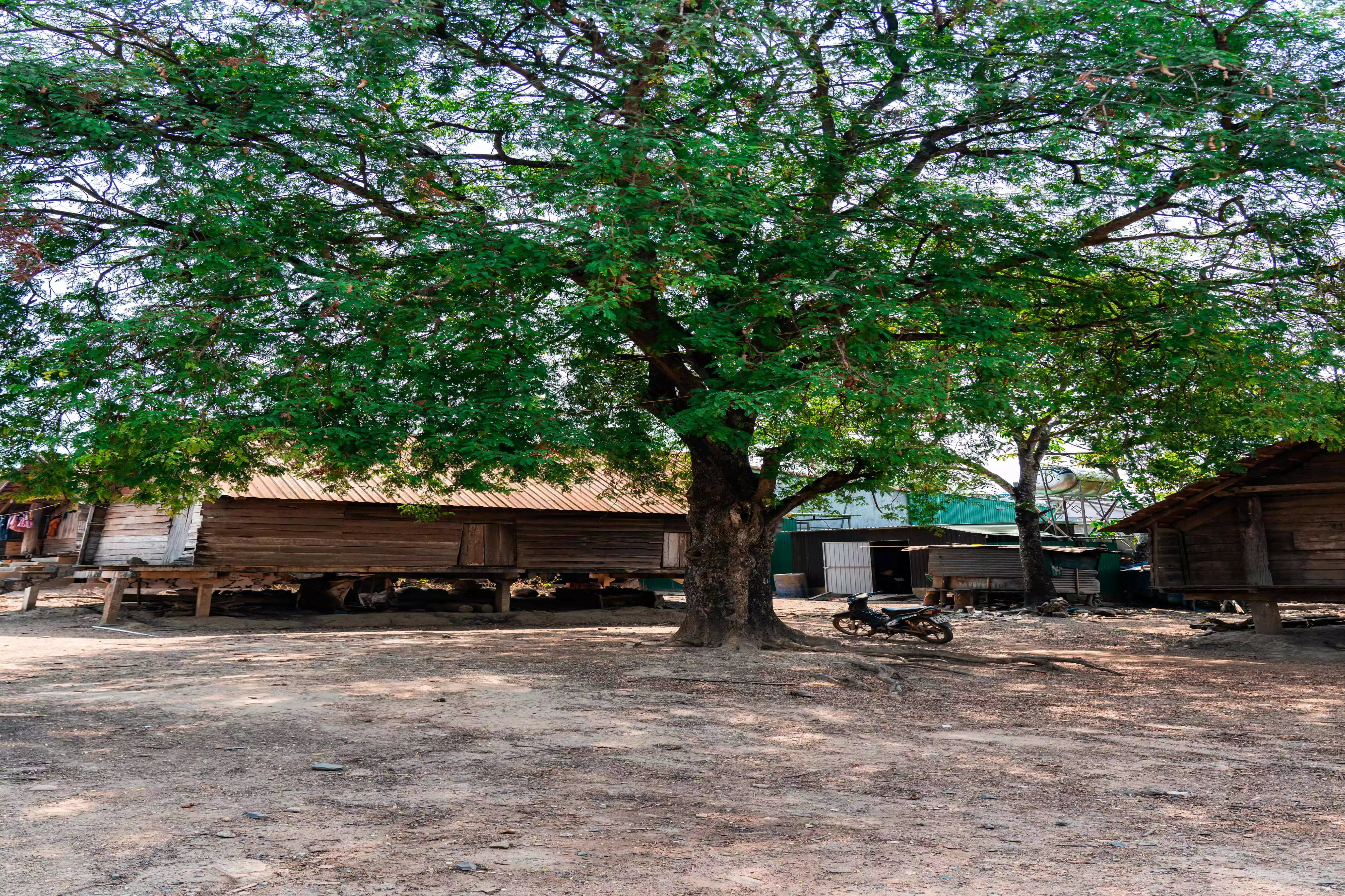 Buôn Buôr và Buôn Nui (dân tộc Ê đê)