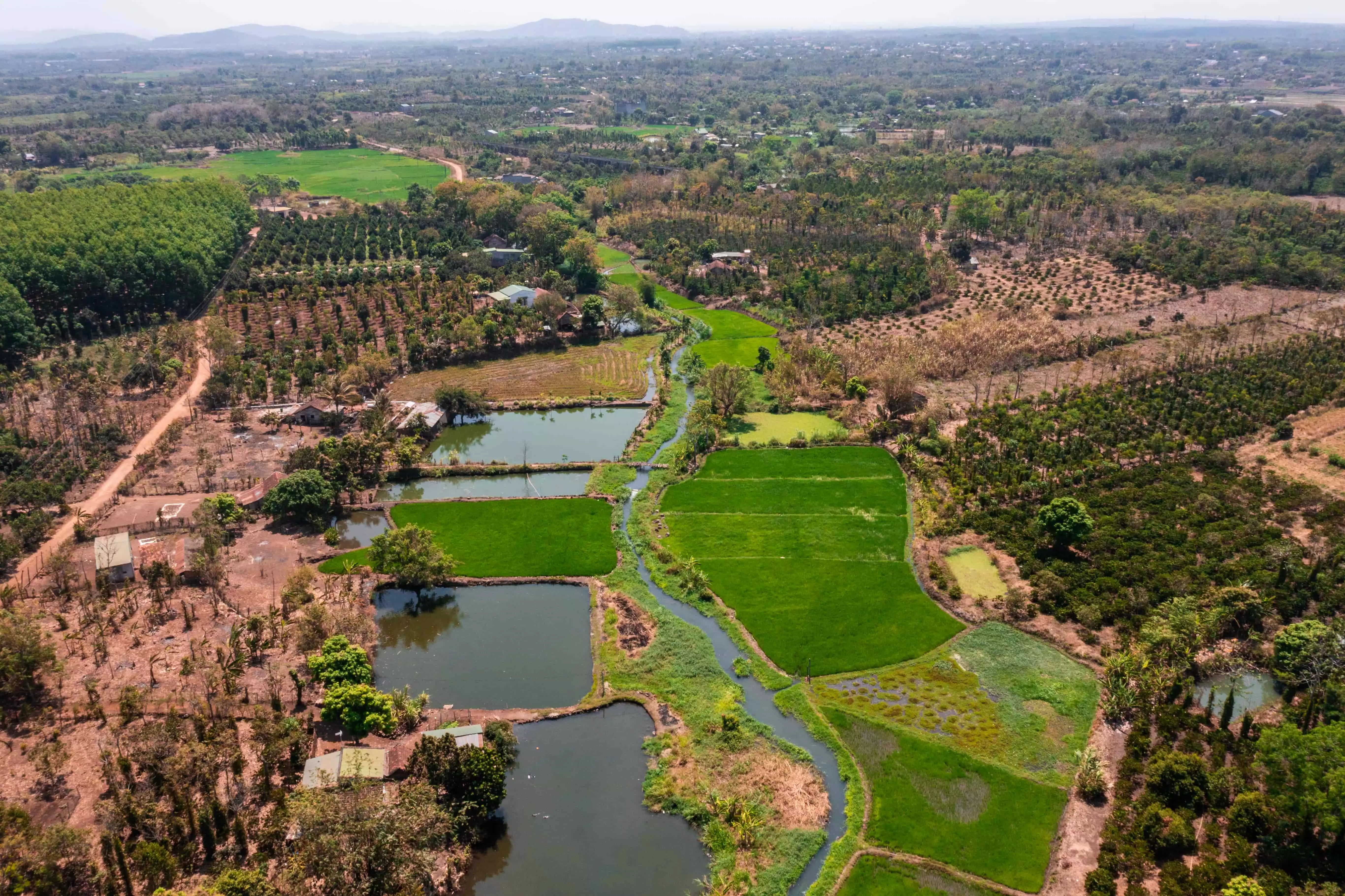 Sở chỉ huy cơ bản Chiến dịch Tây Nguyên